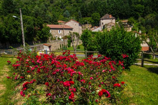 massif of the margueride in lozere