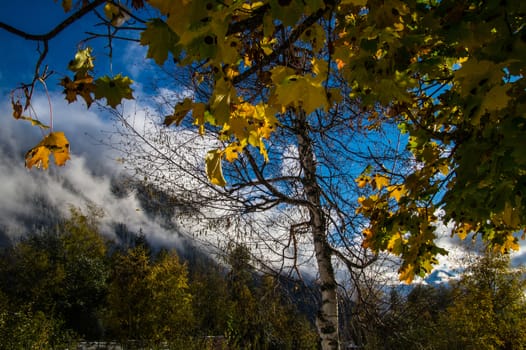 argentiere,chamonix,haute savoie,france