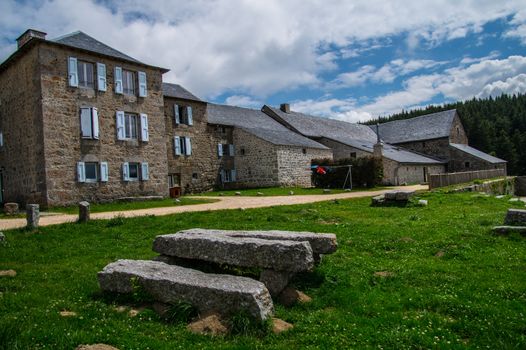 field of the wild in high Loire in Auvergne