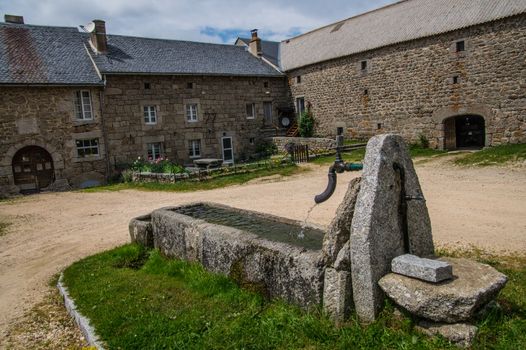 field of the wild in high Loire in Auvergne