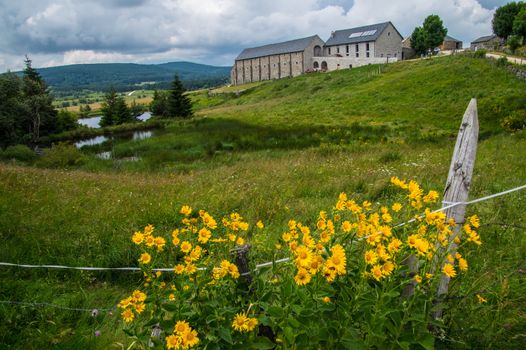 field of the wild in high Loire in Auvergne