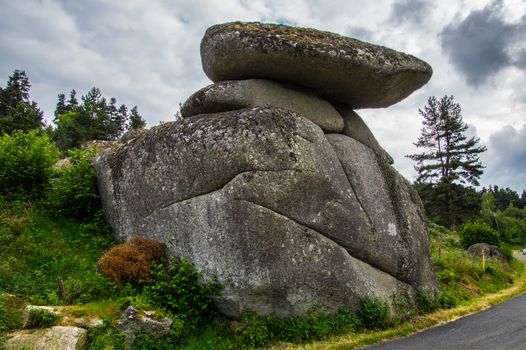 massif of the daisy in lozere