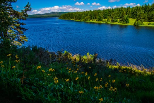 lake of charpal in margueride in lozere