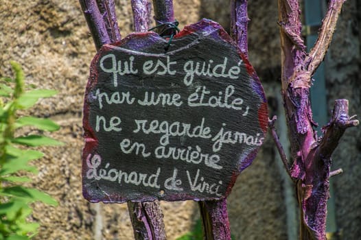 artist's phrase in margueride