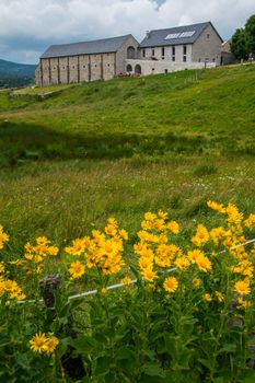field of the wild in high Loire in Auvergne