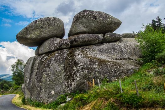 massif of the daisy in lozere