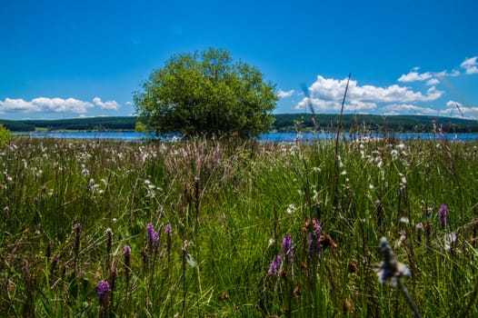 lake of charpal in margueride in lozere