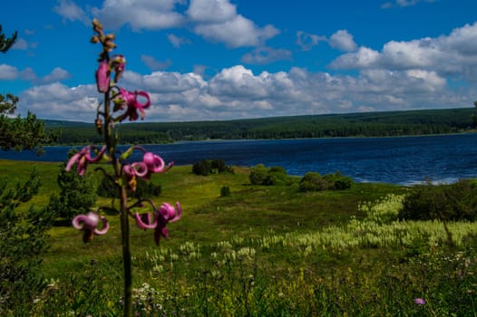 lake of charpal in margueride in lozere