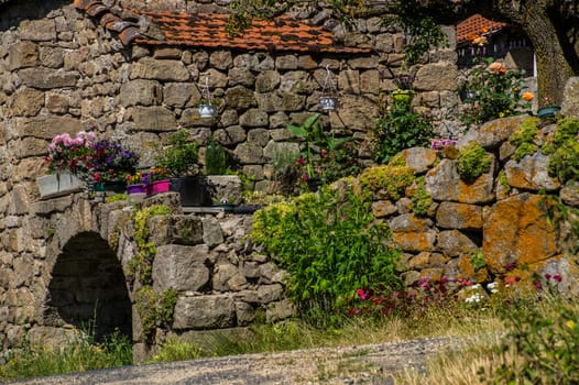 massif of the daisy in lozere