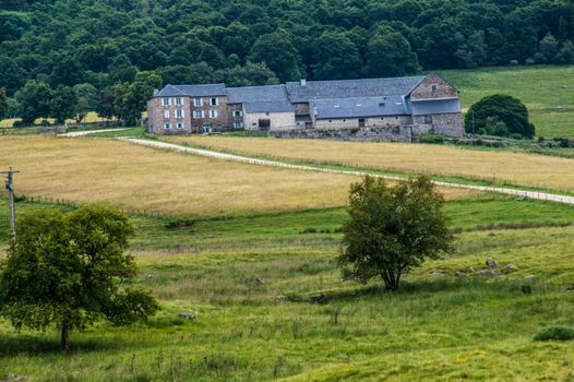 field of the wild in high Loire in Auvergne