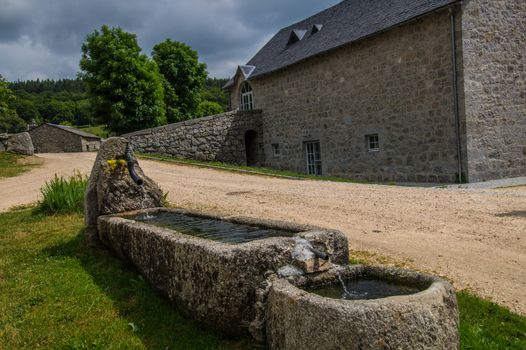field of the wild in high Loire in Auvergne