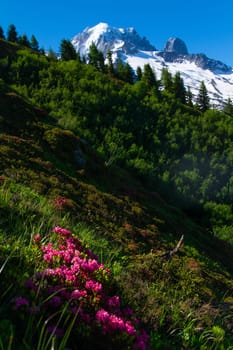 landscape of the Alps in France Haute Savoie