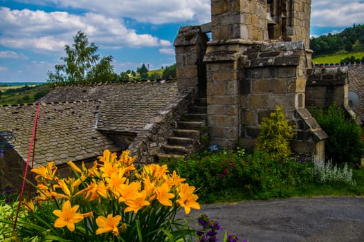 massif of the daisy in lozere
