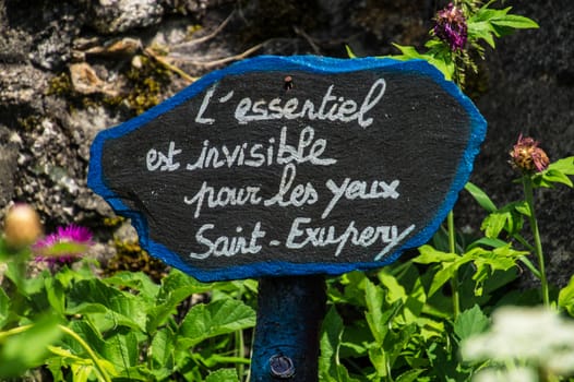 artist's phrase in margueride