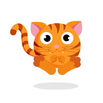 cat in flat style vector image