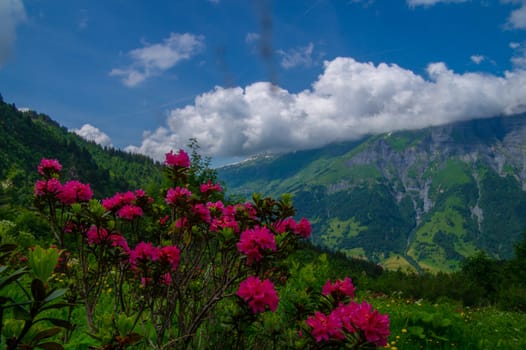 landscape of the Alps in France Haute Savoie