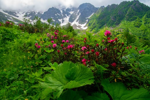 landscape of the Alps in France Haute Savoie