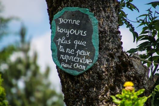 artist's phrase in margueride