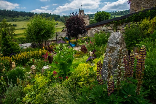 flower garden daisy in lozere