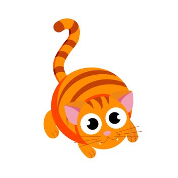 fat cat in flat style vector image