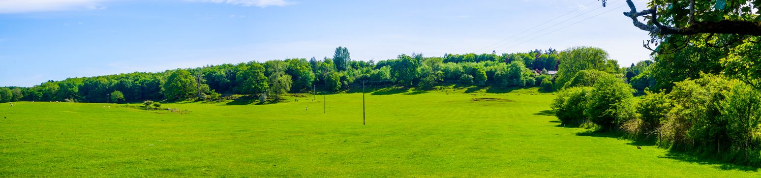 views across open fields in Beetham Milnthorpe England