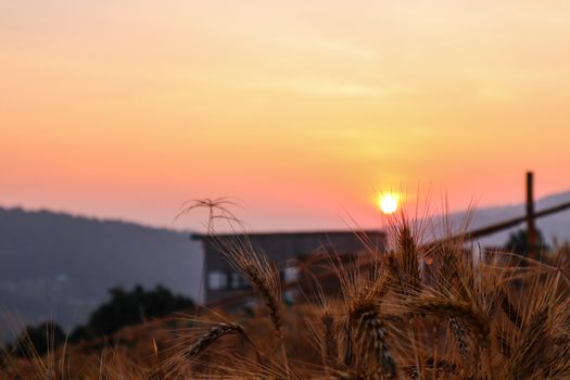 Majestic sunset in the mountains in Chiang Mai, Thailand. The mountain scenery view