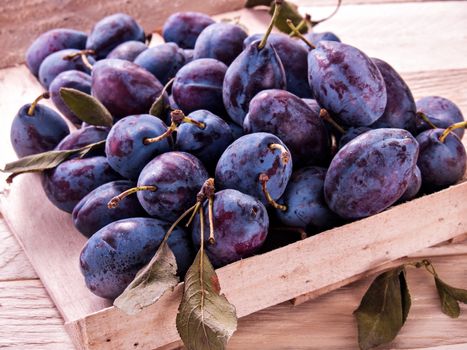 Blue plum in a wooden box on a wooden background fresh juicy big new crop with green leaves diet food fruit useful