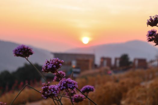 The mountain sunset in a thai village near mountains in Chiang Mai, Thailand. The mountain scenery view