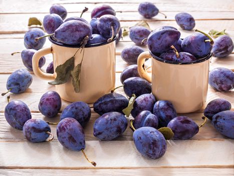 Plums of blue juicy sweet lie in tin-plated metal mugs of yellow color and plums scattered on a wooden background useful fruits for diet food and dessert