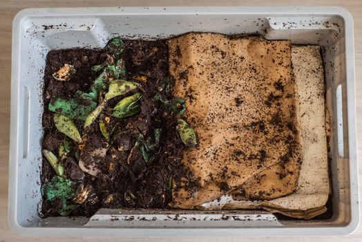 A DIY worm farm composting bin in an apartment