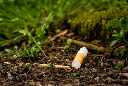 Cigarette butts are often tossed into the environment, and are toxic polluters