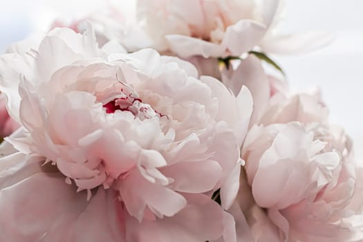 Bouquet of peony flowers as luxury floral background, wedding decoration and event branding design