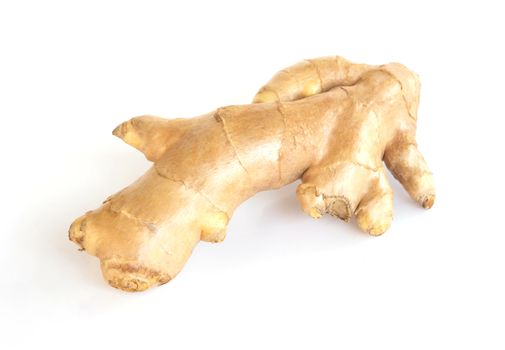 Fresh ginger root  islolated on white background for herb and medical product concept