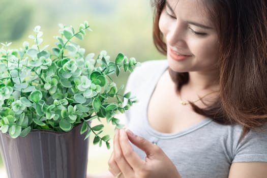 Closeup woman touching tree in pot with happy face in the morning