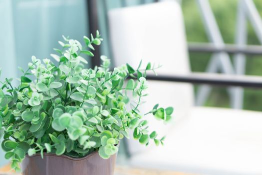 Green small tree in pot on wood table for decoration, selective focus 