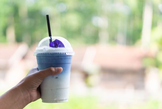 Closeup hand holding glass of ice butterfly pea latte with nature background