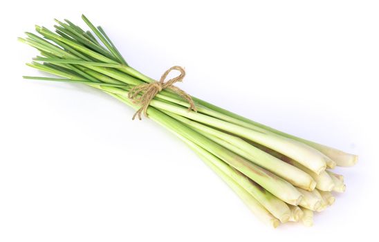 Lemon grass with slice isolated on white background, herb and medical concept