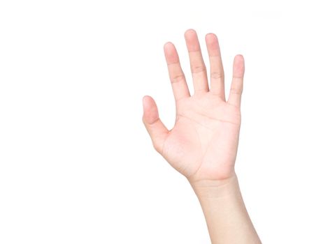 Palm hand isolated on white background