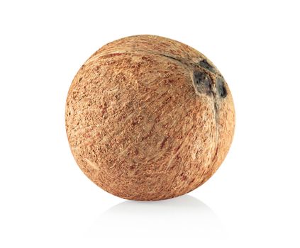 Coconut isolated on white background