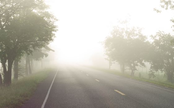 Country road with fog in the morning 
