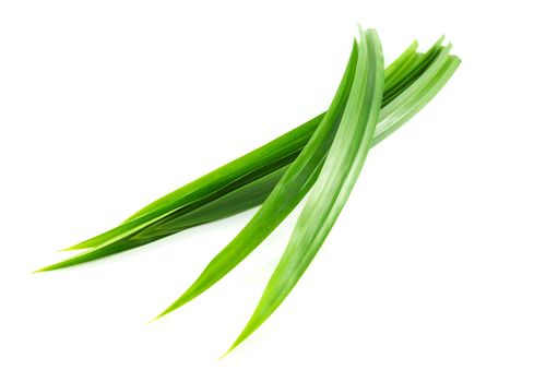 Fresh green pandan leaves isolated on white background