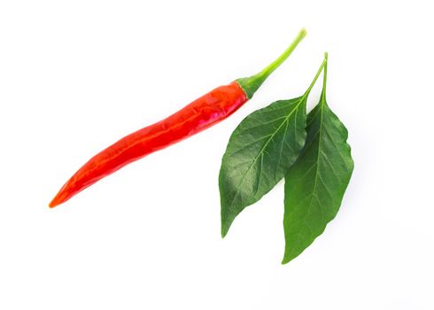 Closeup red chili pepper with sliced on white background, raw food ingredient concept