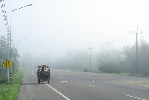 Country road with fog in the morning 