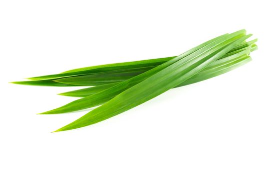 Fresh green pandan leaves isolated on white background