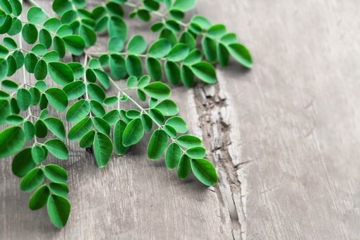 Closeup top view moringa leaves branch on wood background, herb and medical concept