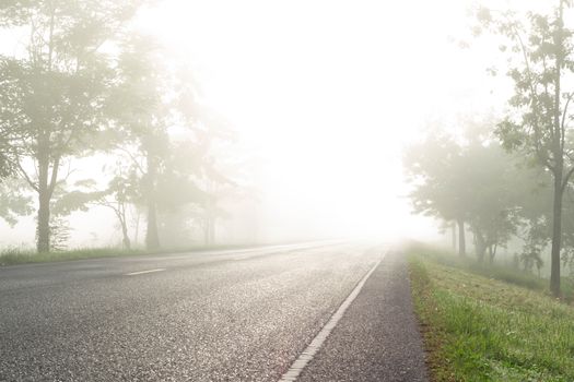 Country road with fog in the morning