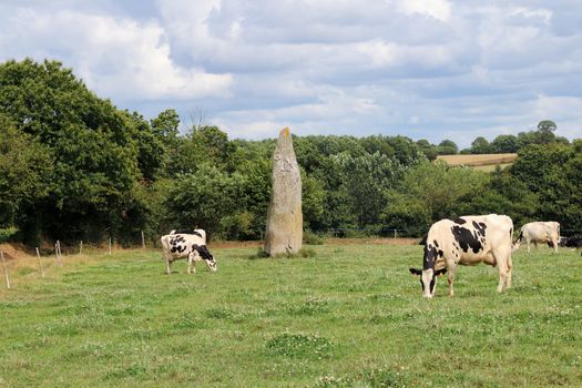 Menhir of Kerguezennec - megalithic monument in Begard village, department Cotes-d'Armor, Brittany, France