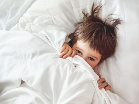 Cute toddler hides in bed. Disheveled boy wakes up and peeps out from under white blanket. Morning bedtime at cozy home.