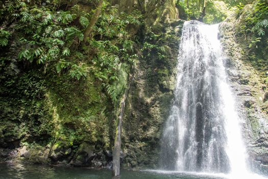 walk and discover the prego salto waterfall on the island of sao miguel, azores, Portugal.
