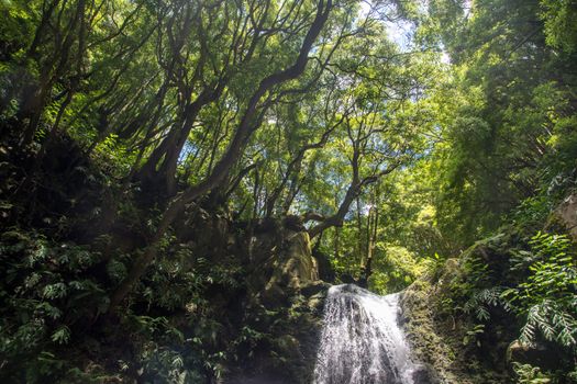 walk and discover the prego salto waterfall on the island of sao miguel, azores, Portugal.